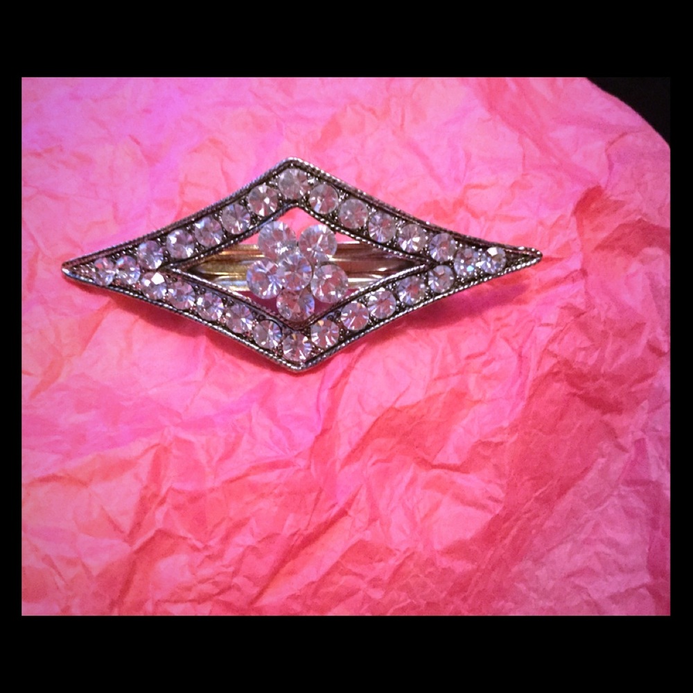 Vintage barrette.